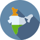 Indian-map-icon
